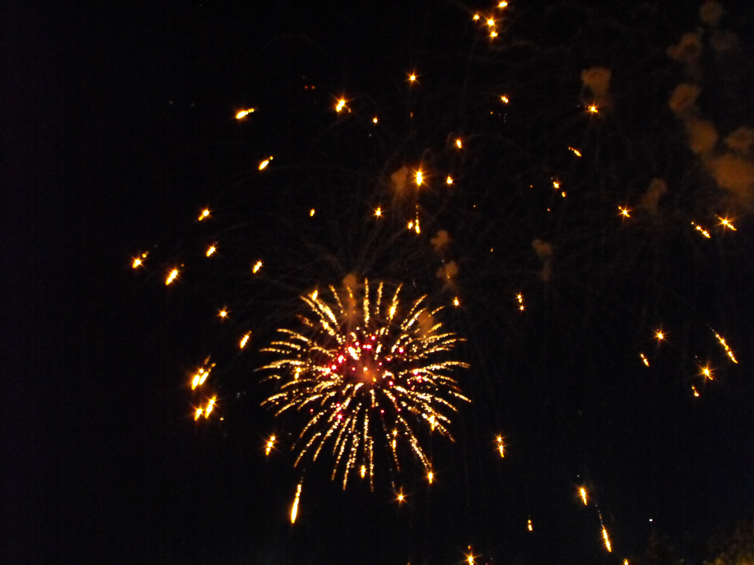 ./2010/Fourth of July/4th July Fireworks Wilm 0054.JPG